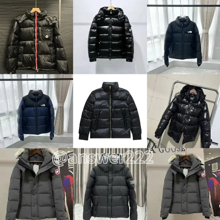 The North Face Black Puffer Ja